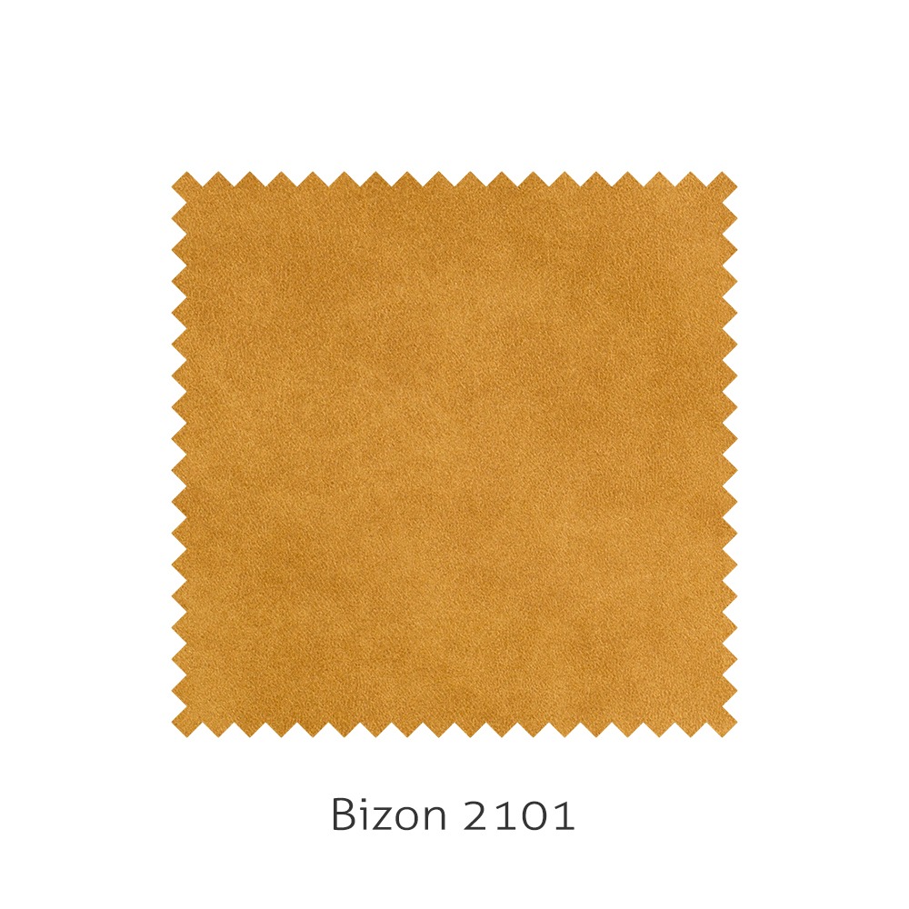 Bizon 2101
