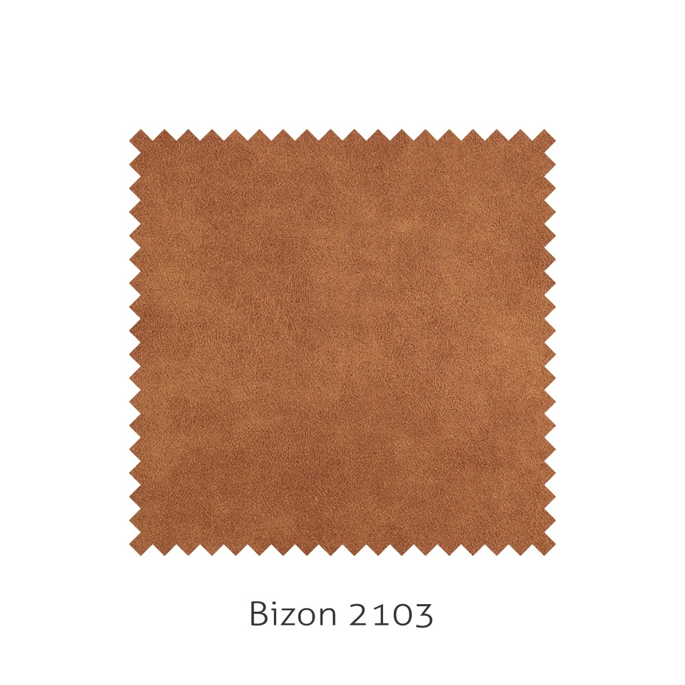 Bizon 2103