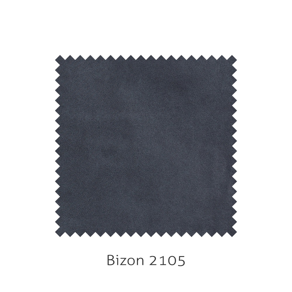 Bizon 2105